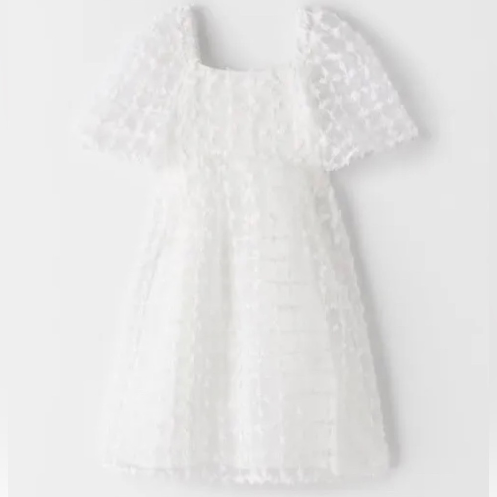 Zara Organza Dress